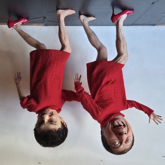 Theater Sgaramusch - Käfer